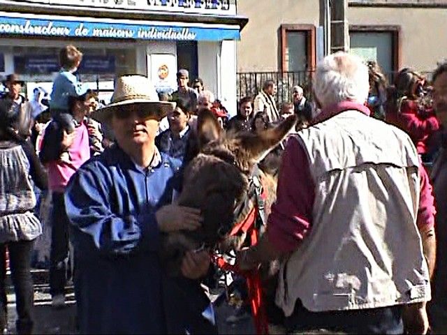 carnaval 2012 (140).jpg